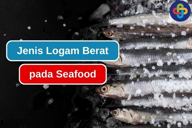 6 Jenis Logam Berat yang Ditemukan Pada Seafood